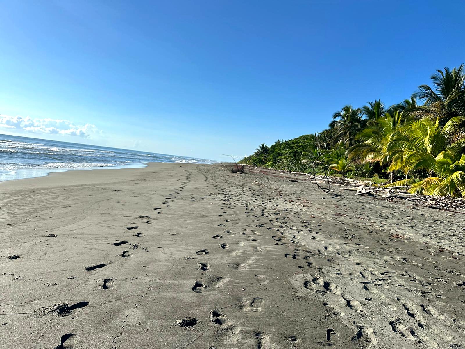 The empty Caribbean beach at Parismina