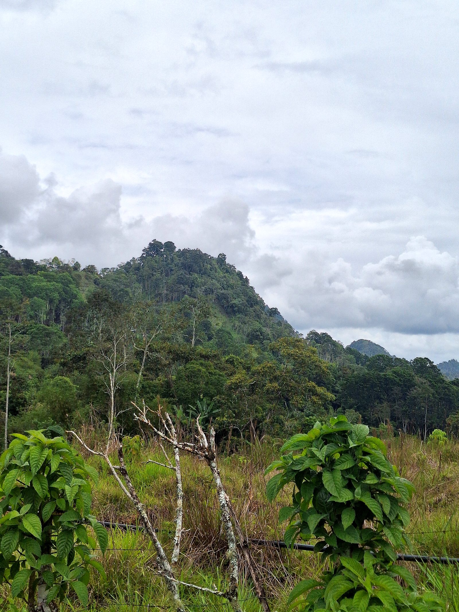 Clouds over the hills of the Turrialba Valley