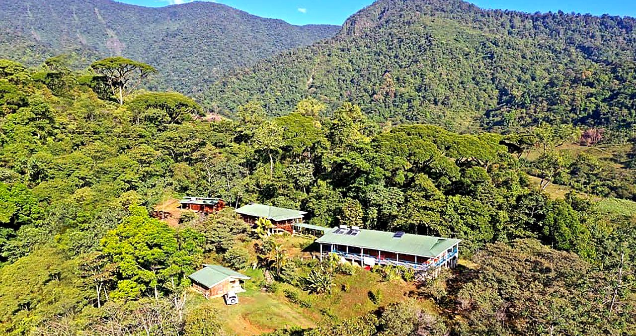 The farm lodge among forested hills