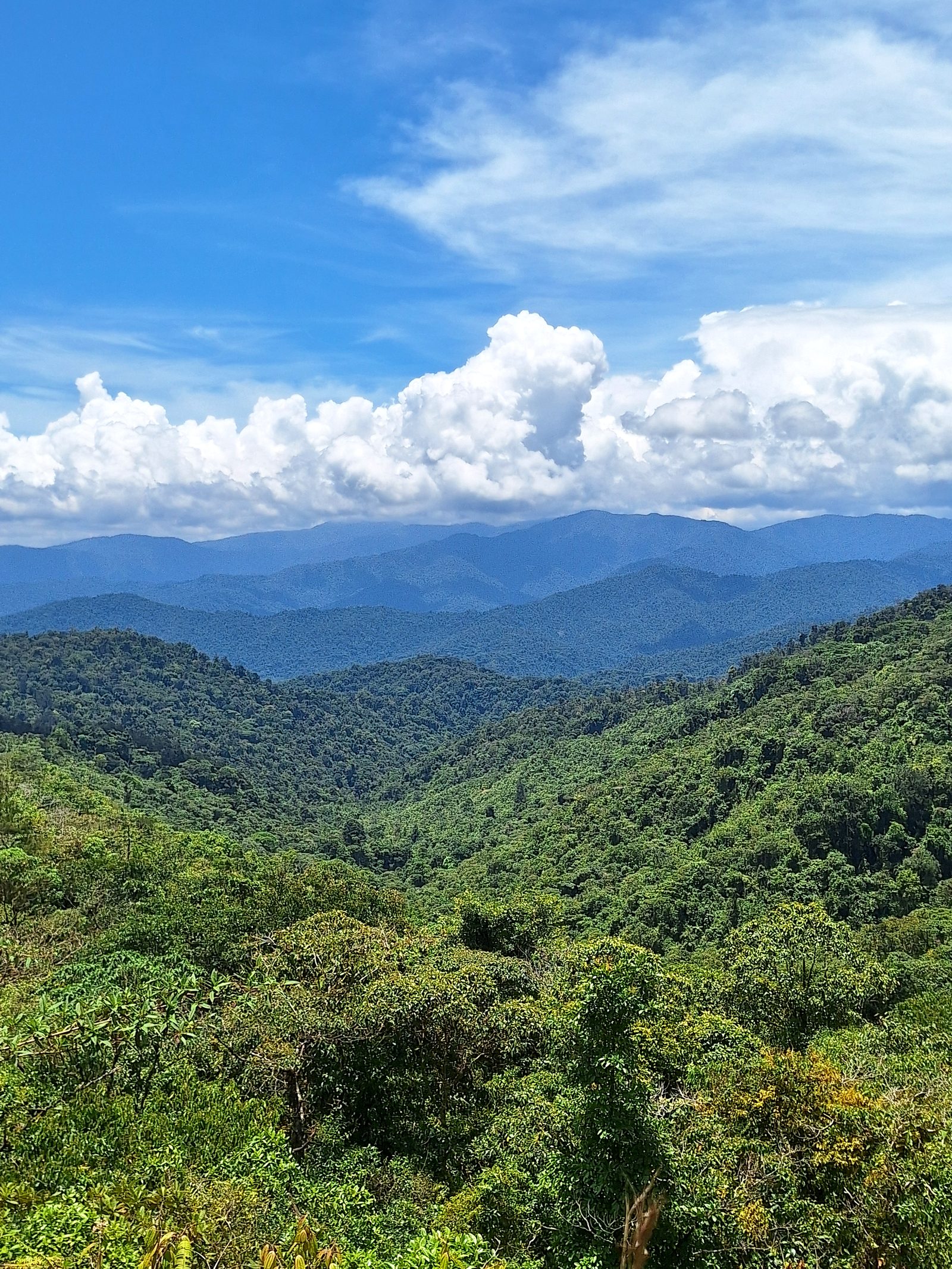Green ridges and clouds over the Orosi Valley