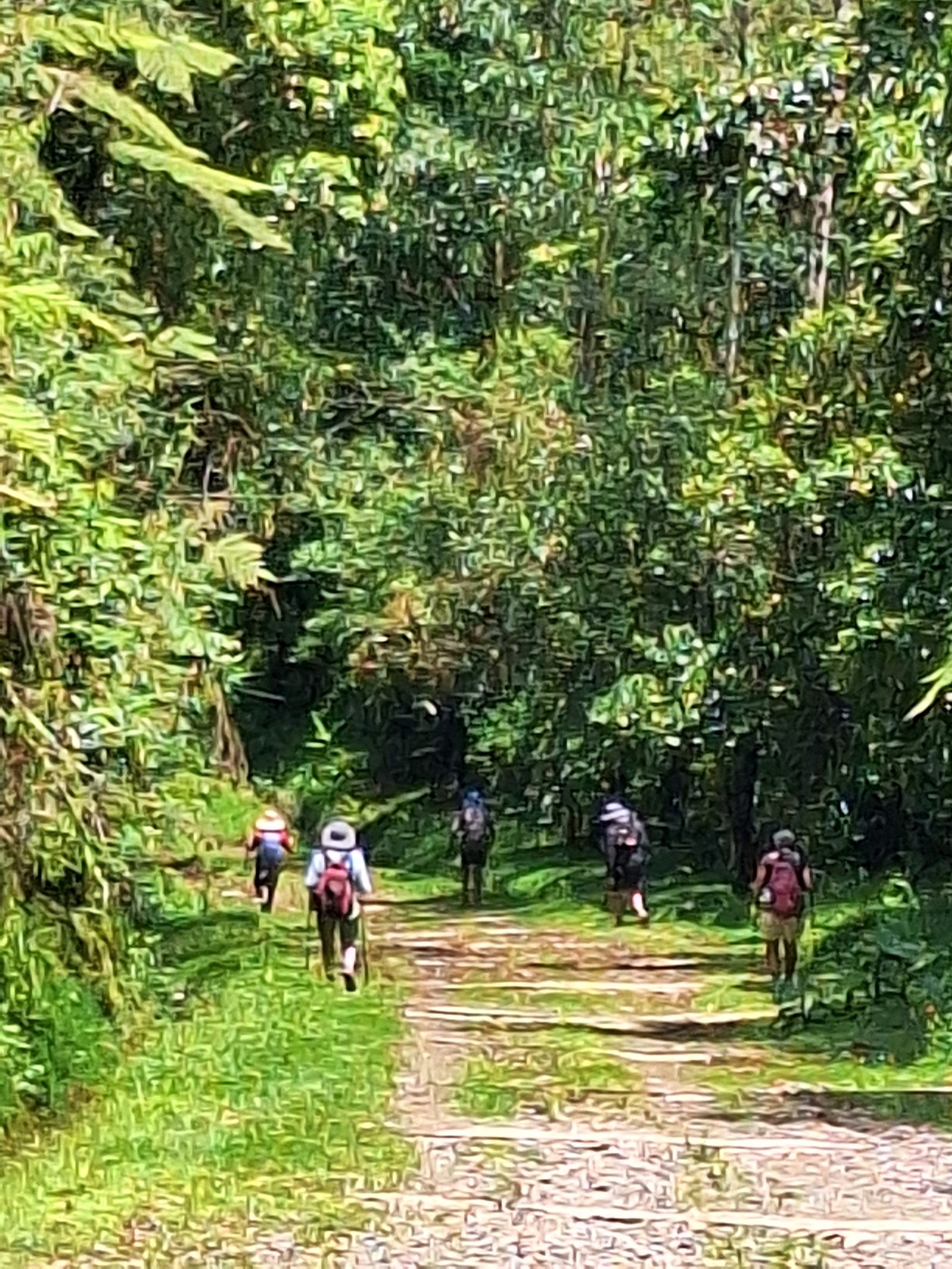 Hikers on a forest trail toward Muñeco, Day 9