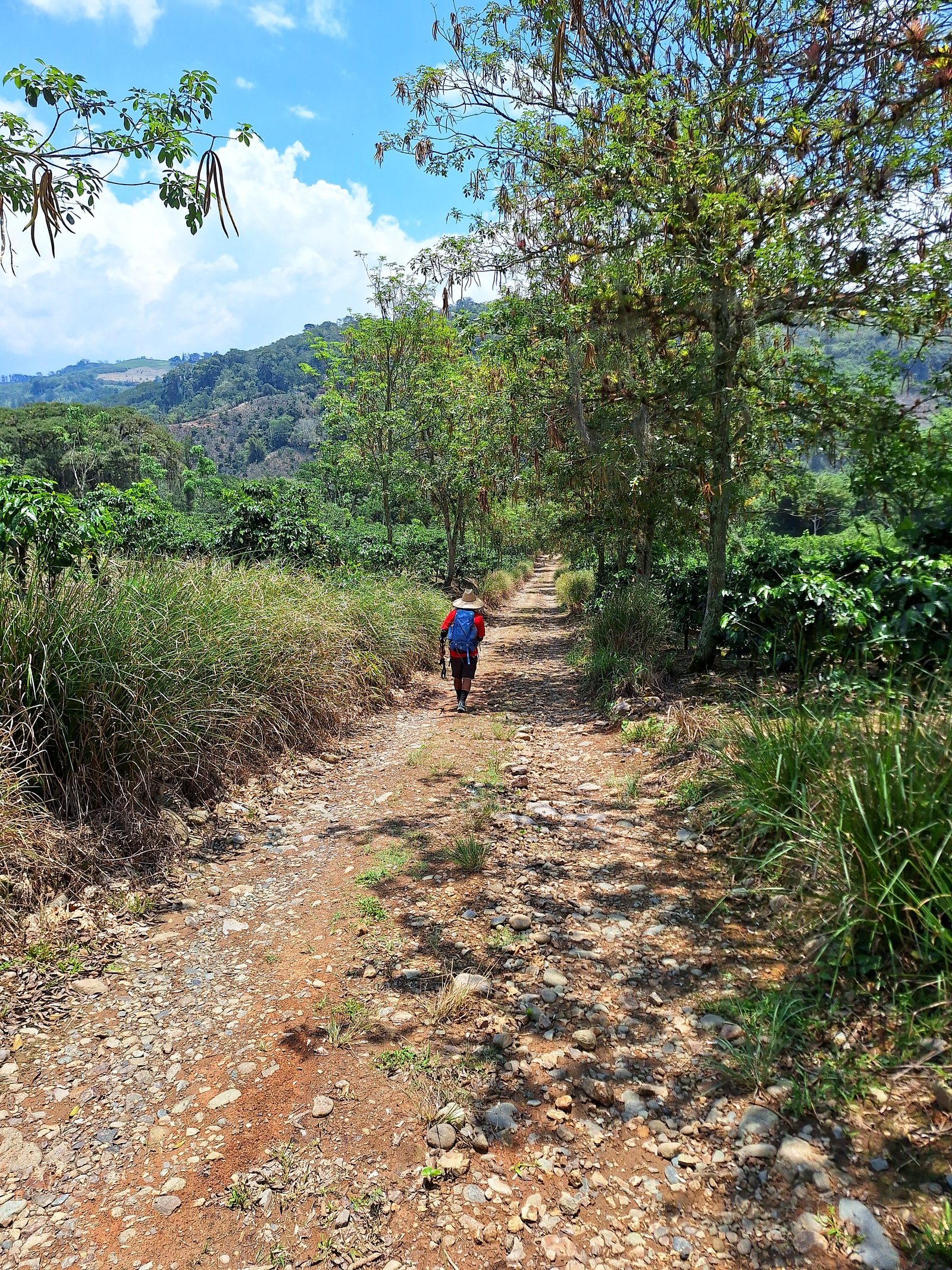 A dirt road with a view of the valley