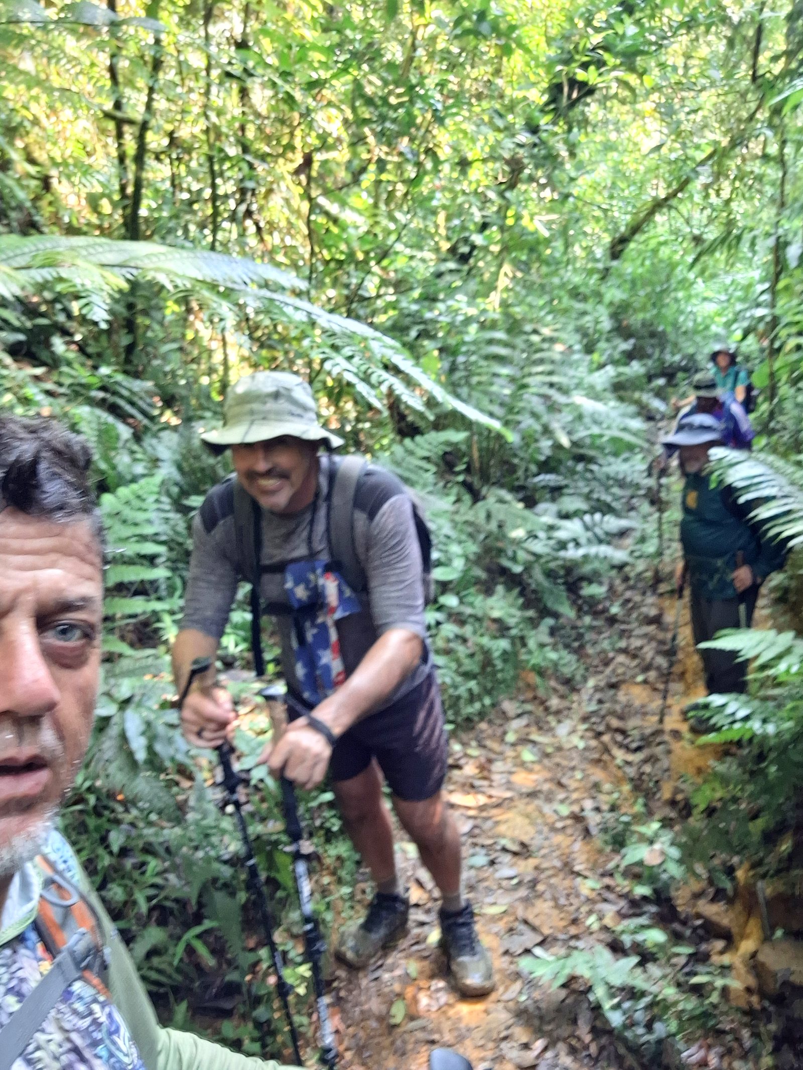 Hikers on a steep forest trail, Day 10
