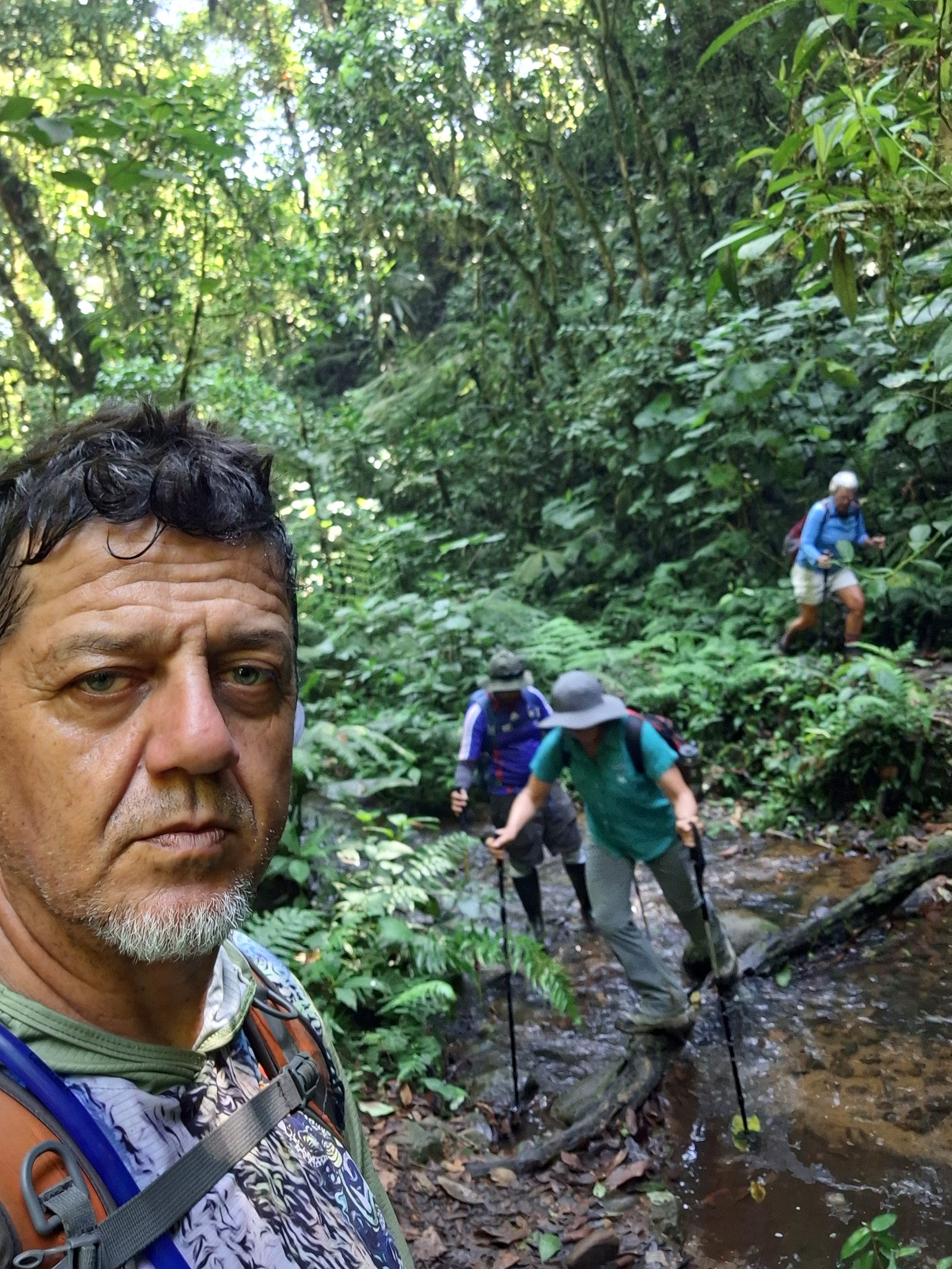 Our guide with hikers in the highland forest