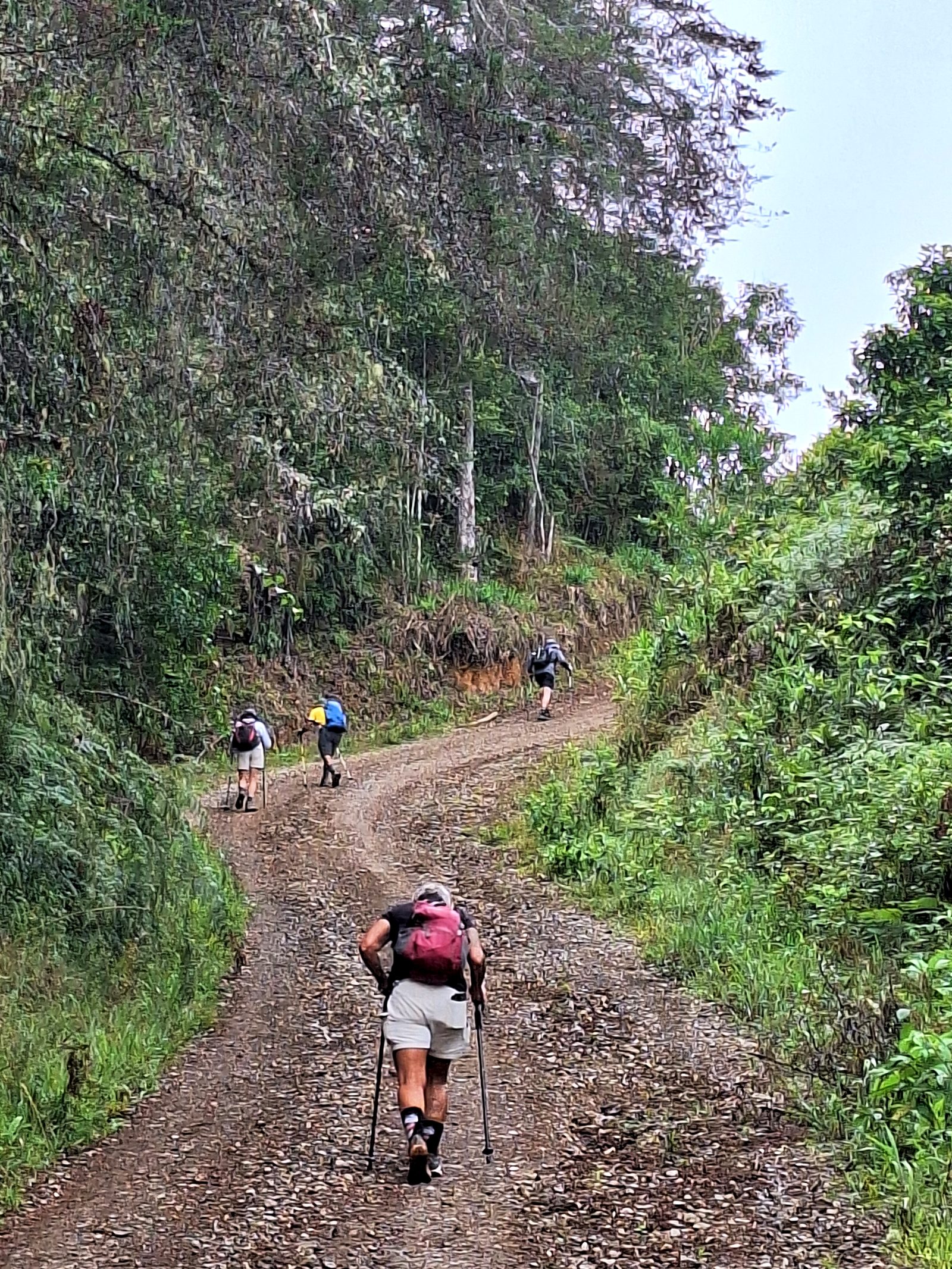 A hiker on a steep trail toward El Empalme
