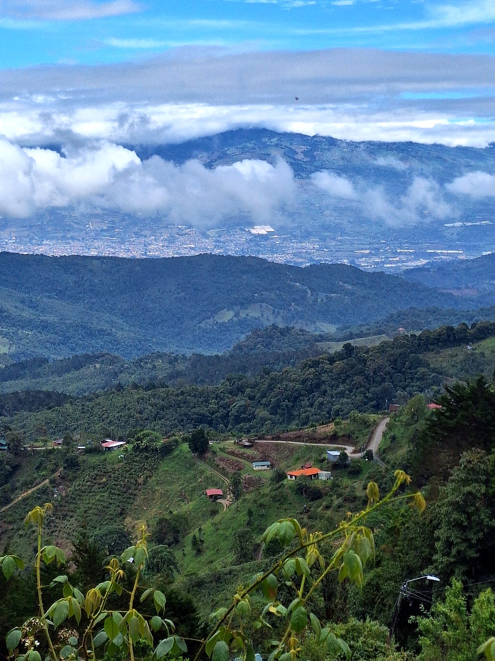 Mountains above the Pacific slope