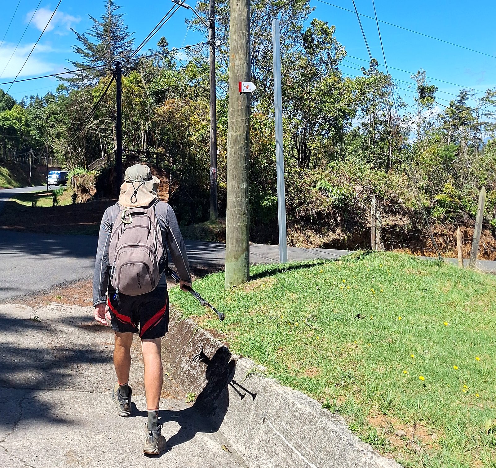 A hiker and a dog on the road to San Pablo