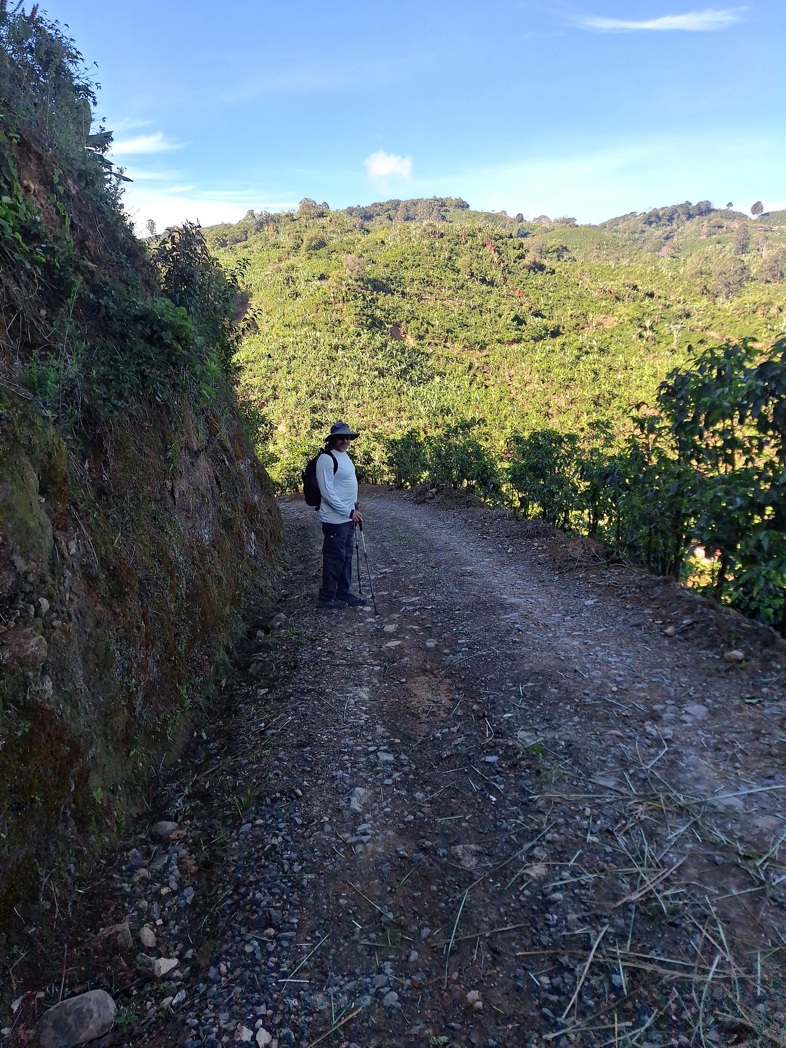 A hiker on a road through the hills
