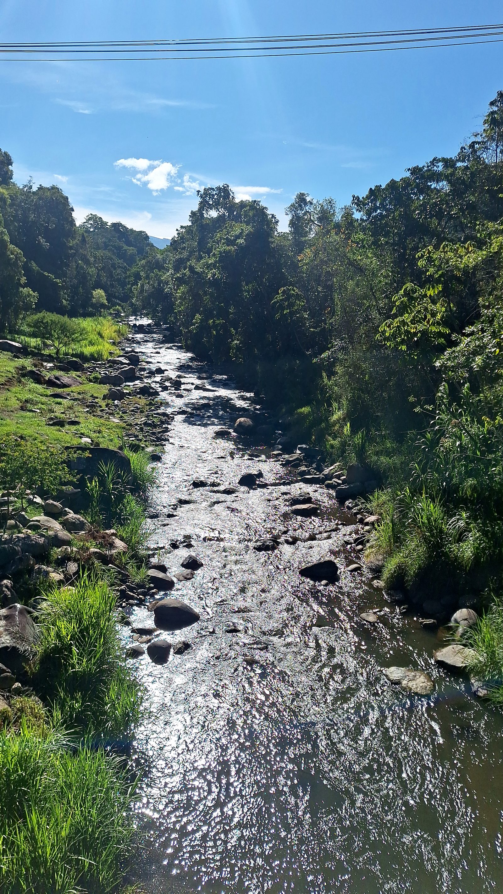 A river in the forest below Nápoles