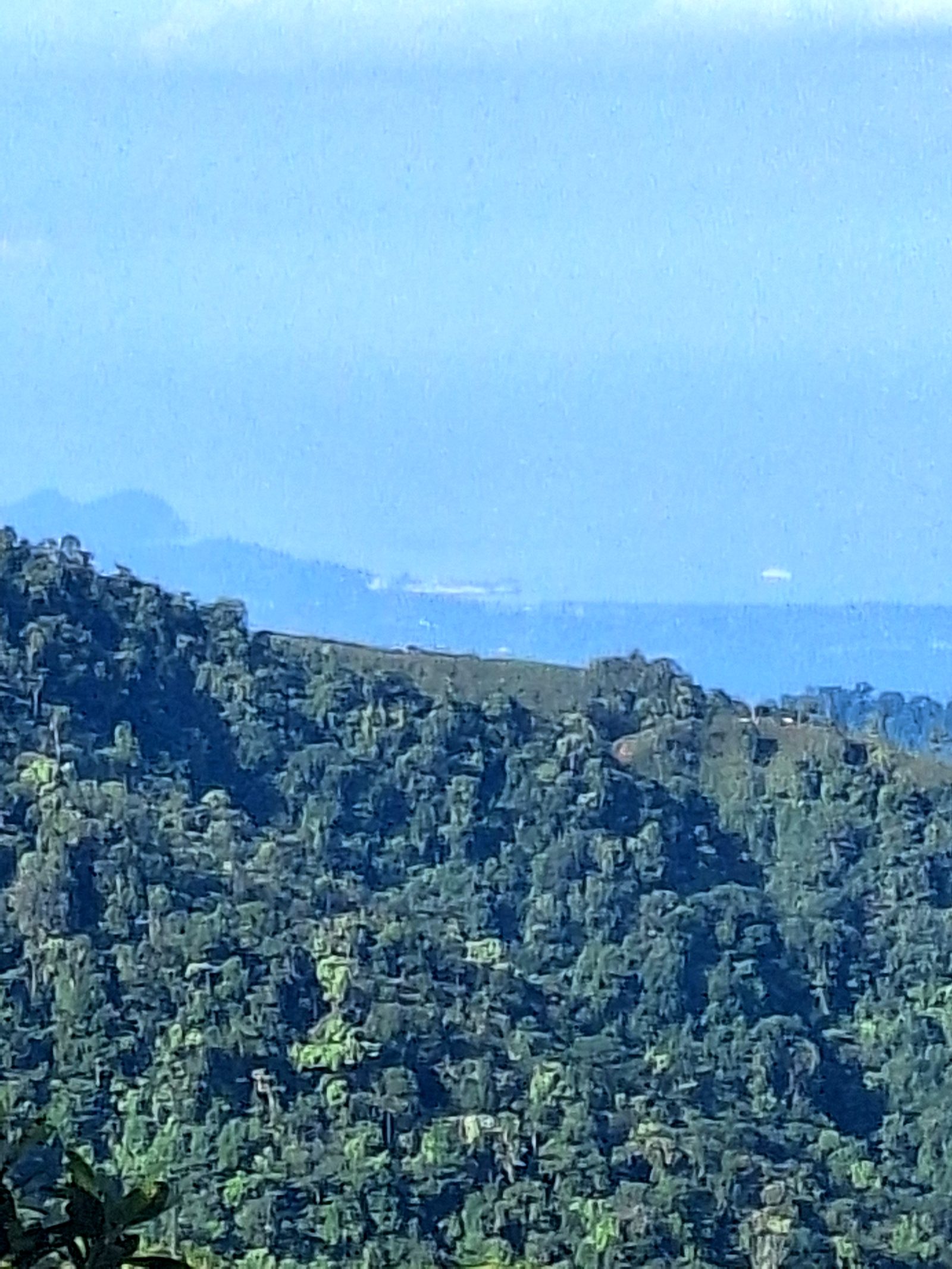 Forest and sea haze from the hills above Esquipulas