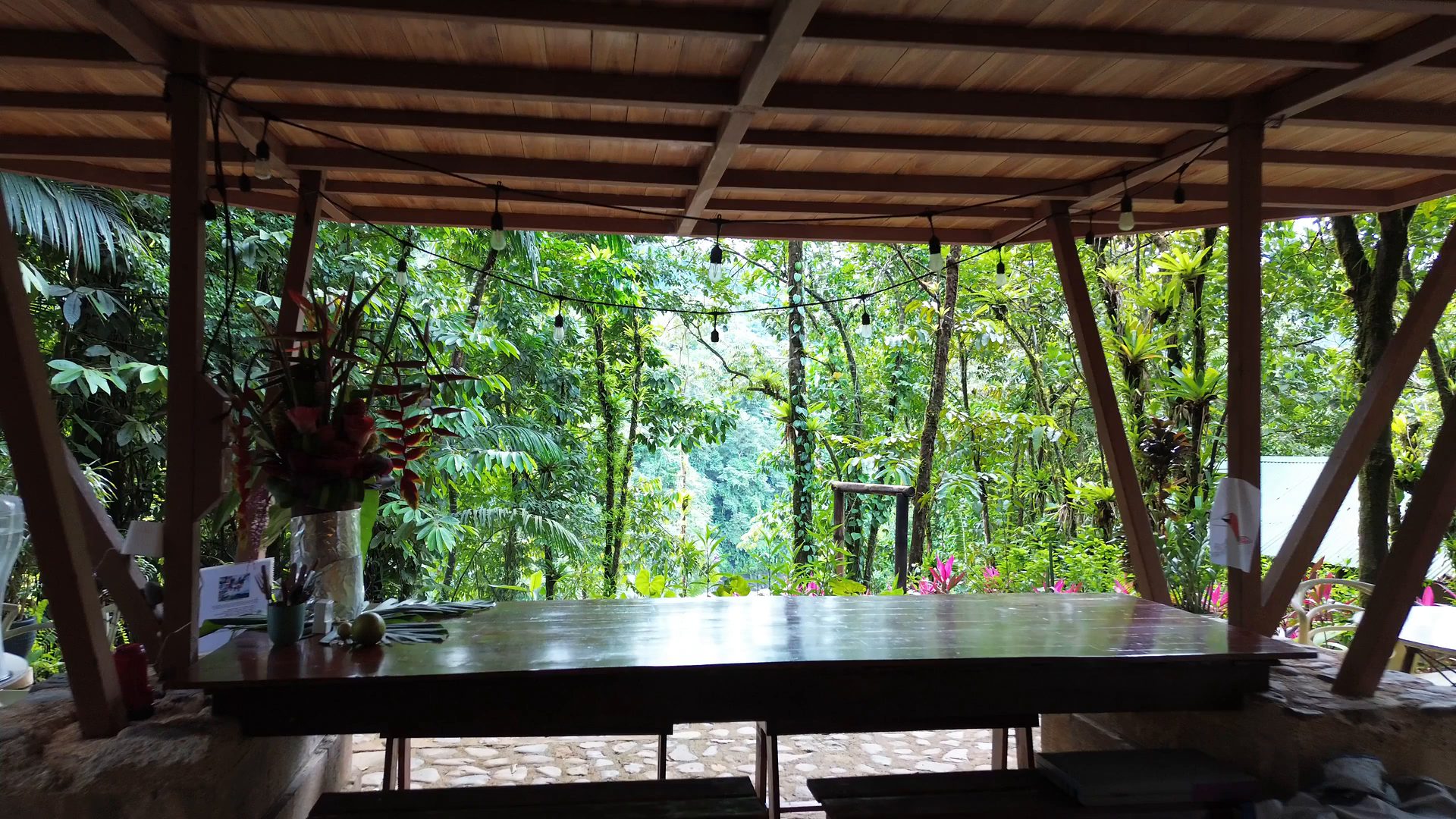A safari tent among the trees of Chorro Ecolodge