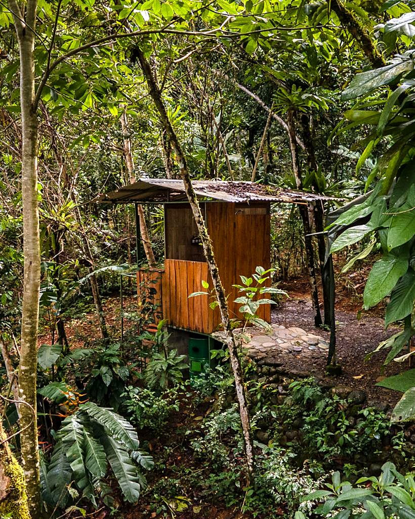A small wooden bathroom hut among the trees