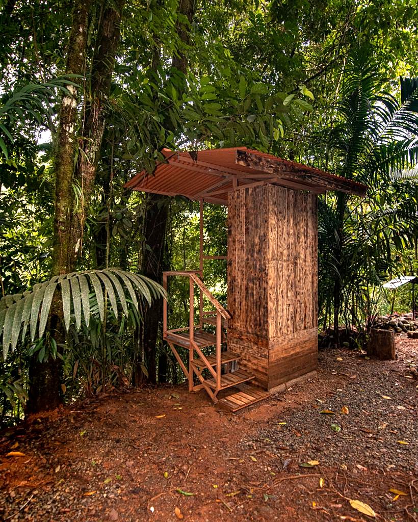 Wooden outhouse with steps, in the forest