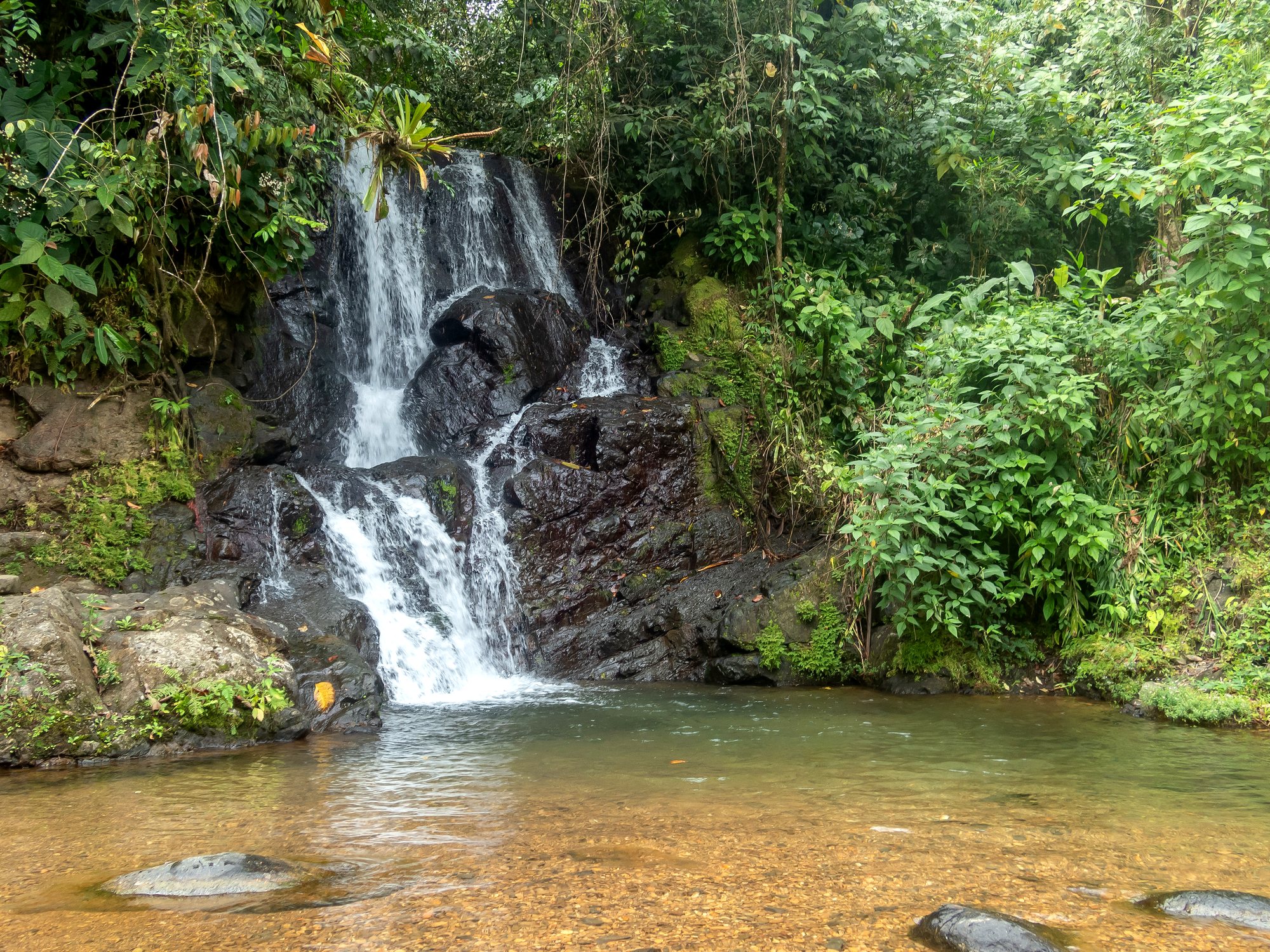 The waterfall falling into a calm pool