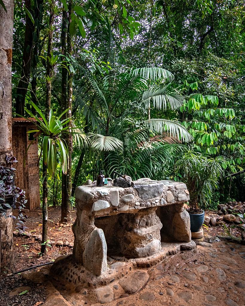 Stone sink in the garden among tropical plants