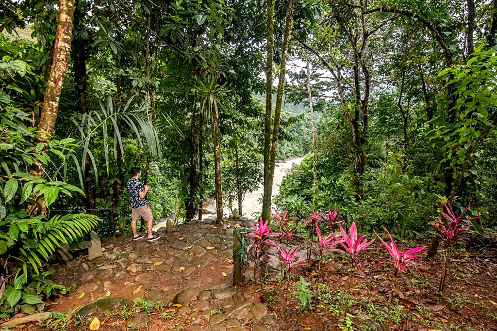 Guest on the jungle path above the river
