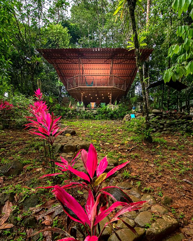 A wooden structure in the garden, with red ti plants in front