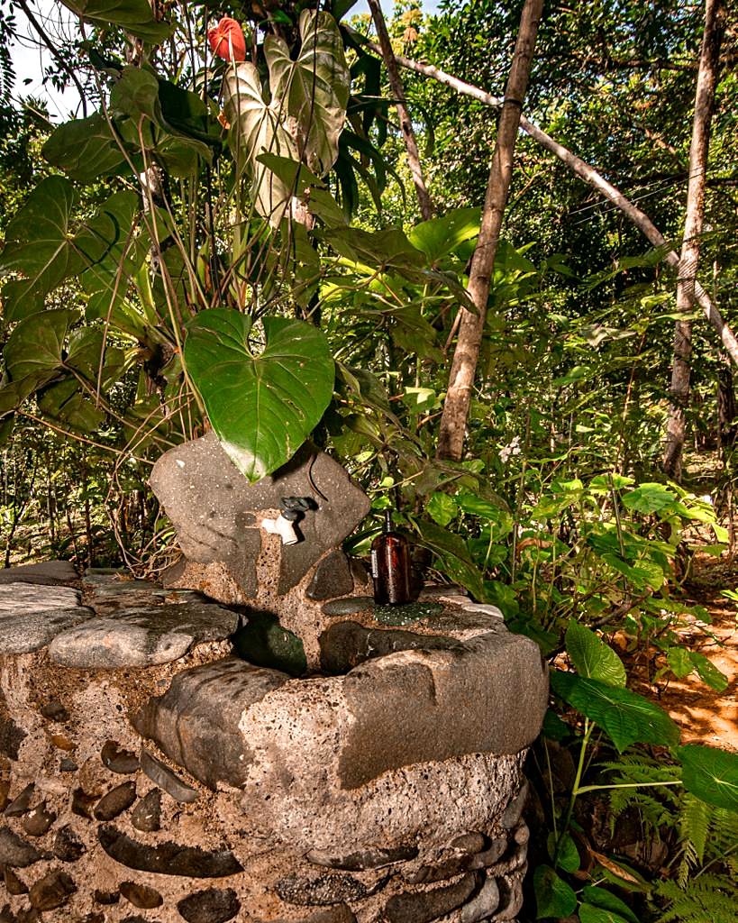 Stone fountain among large leaves