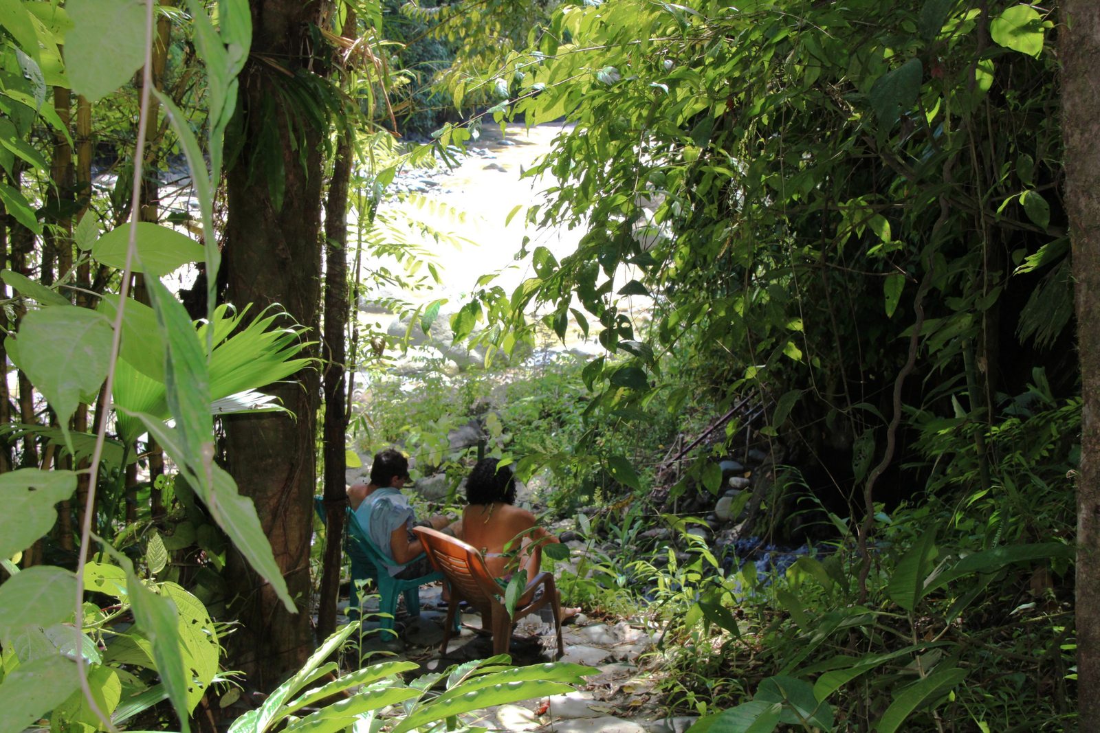 A pair relaxing in chairs in the shade, bright water beyond the leaves
