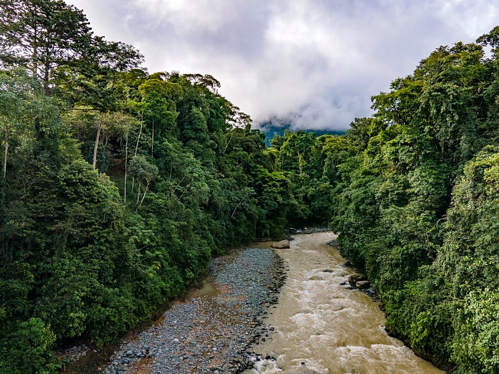 The river running through the forest, seen from above