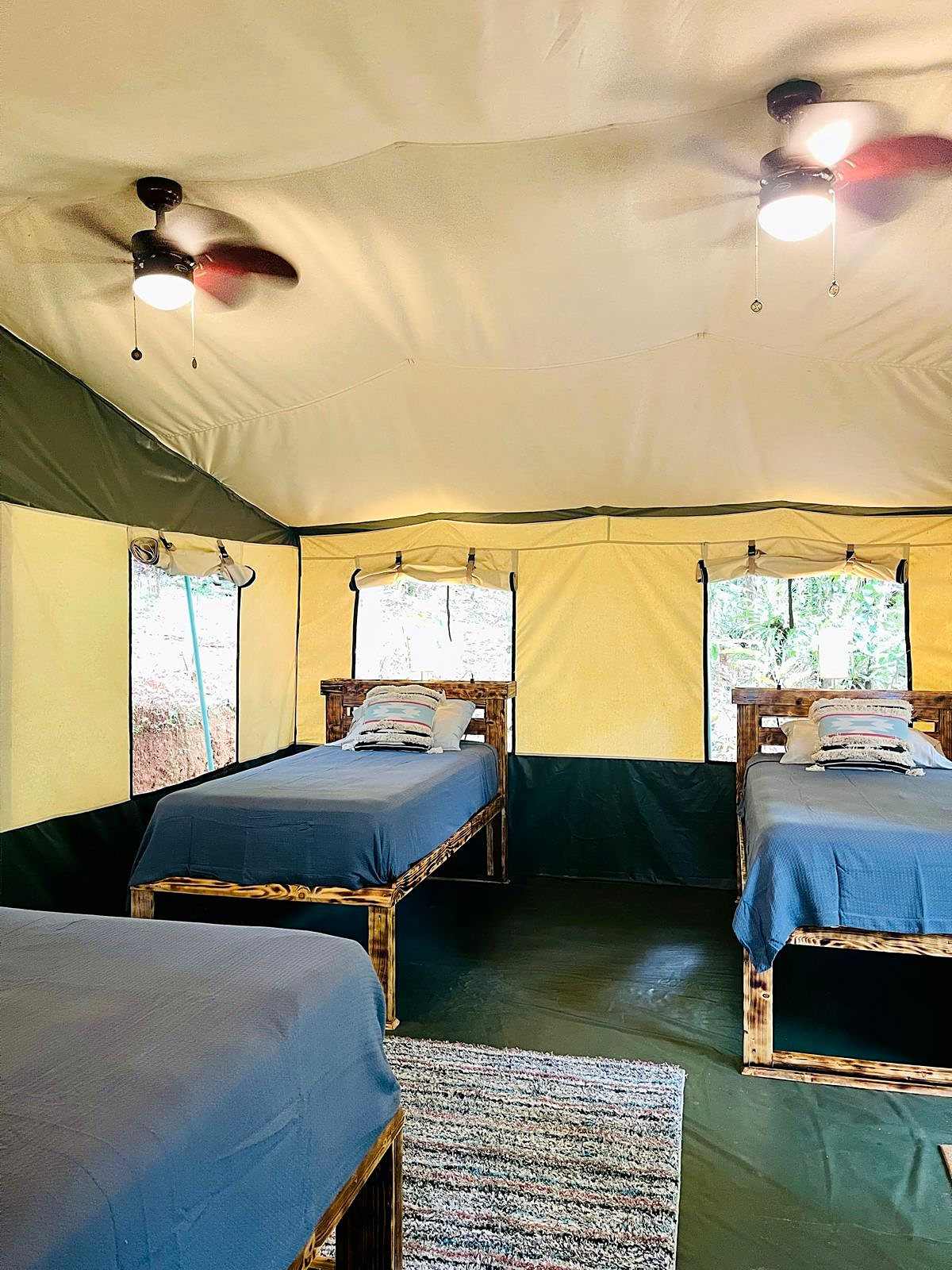 Large tent with three blue beds and ceiling fans