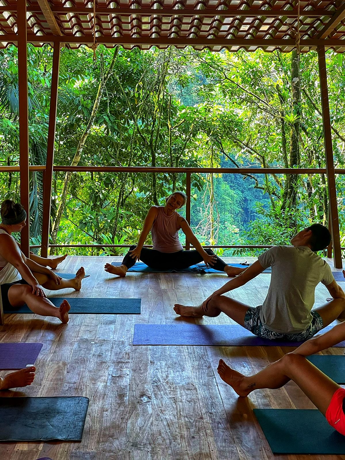 Yoga class on the platform looking at the forest